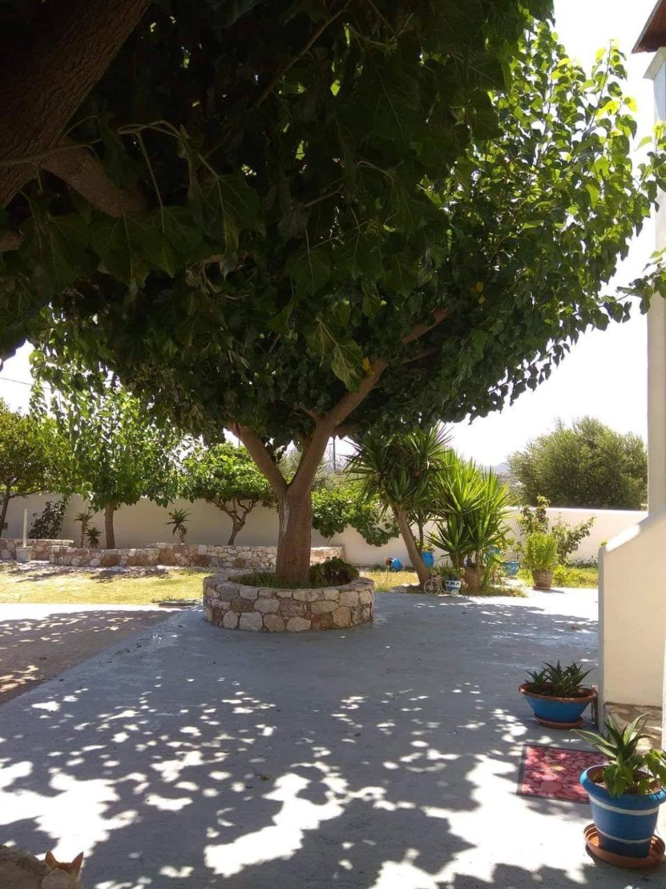 Athena'S Houses Skyros Exterior photo